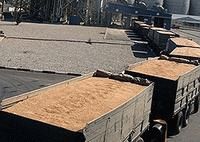 Прогнозы сбора урожая зерновых в России 2012, экспорт пшеницы 2012, экспорт зерновых 2012