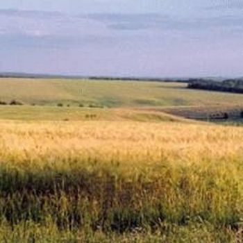 Налог на землю [Украина]