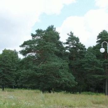 Тенденции развития рынка загородной недвижимости.